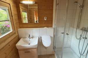 Traumhaus! - Pool, Sauna, Kamin, Solarthermie, Photovoltaik und vieles mehr – Celle (Kreis) – Vorschaubild 29