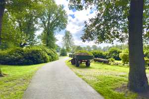 Idyllisches Reetdachhaus auf Traumgrundstück – Osterholz (Kreis) – Vorschaubild 18