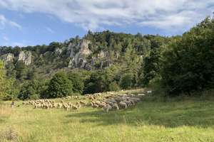 Einfamilienhaus mit Einliegerwohnung in Kipfenberg-Arnsberg - Wohnen, wo andere Urlaub machen – Die vollständige Adresse der Immobilie erhältst du vom Anbieter., 85110 Kipfenberg – Vorschaubild 7