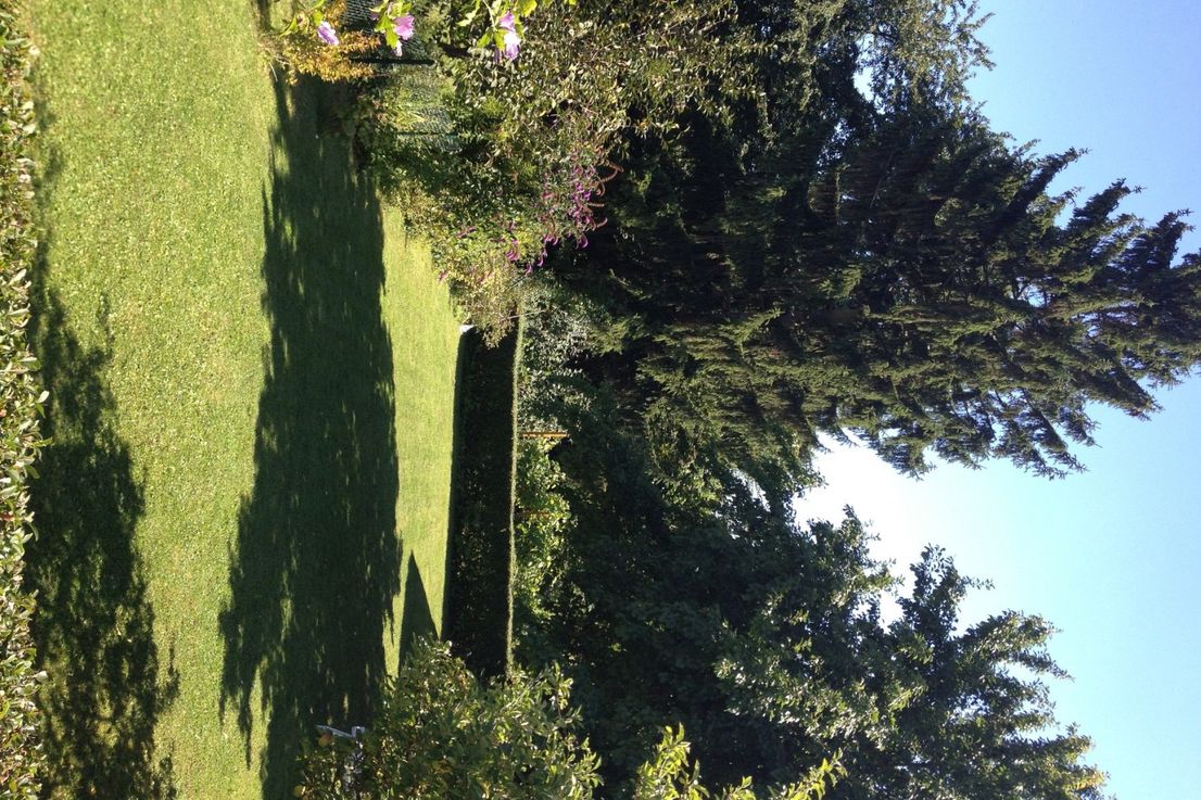 Reihenendhaus mit Traumgrundstück... V-E-R-K-A-U-F-T... image 5