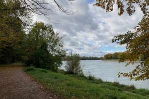 Top Wohnlage mit direktem Rheinblick – Die vollständige Adresse der Immobilie erhältst du vom Anbieter., 68163 Lindenhof, Mannheim – Vorschaubild 4