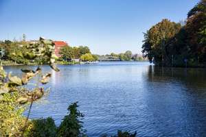 Property thumbnail 18