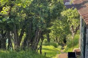 Interessante Stadtimmobilie mit Gartengrundstück in Stuttgart-Ost – Die vollständige Adresse der Immobilie erhältst du vom Anbieter., 70186 Gablenberg, Stuttgart – Vorschaubild 4