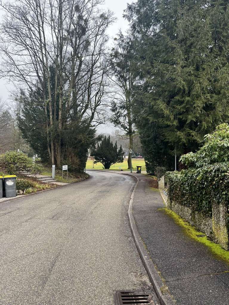 Immobilie in Baden-Baden - Ihr Büro an der Lichtentaler Allee: Arbeiten in 1A-Lage - Bild 0