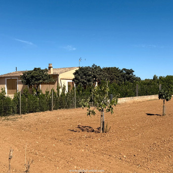 Einmalige Gelegenheit: Rustikales Anwesen auf Mallorca mit Blick auf den Monti Sion und großem Poten