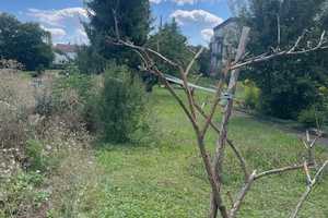 Bad Wimpfen, Nähe Friedhof, großes Grundstück, älteres renovierungsbedürftiges EFH – Rappenauerstraße 39, 74206 Heilbronn (Kreis) – Vorschaubild 45