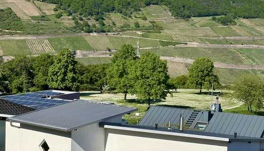 Bild von RESERVIERT! Familienfreundliches Domizil in bester Lage mit Rheinblick und separatem Appartement