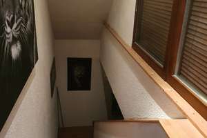 Modernisiertes Einfamilienhaus mit acht Zimmern und ELW  in Sulz-Bergfelden – Kälberweide 3, 72172 Sulz am Neckar – Vorschaubild 16