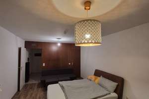 Top Lage Uni und Siemens 450 € - 25 m² - 1.0 Zi. mit Bett, Schreibtisch, Sofa und Küche ab sofort – Paul-Gossen-Straße 34, 91052 Schönfeld, Erlangen – Vorschaubild 1