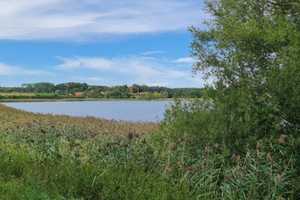 Haus 300 Meter zum See – Tarnow, Rostock (Kreis), 18249 Güstrow (Kreis) – Vorschaubild 8
