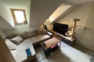     Ruhige 1-Zimmer-Wohnung im Hinterhaus der Mainzer Altstadt