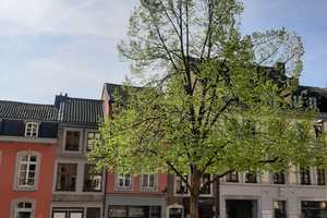 Charmante 3- Zimmer- Wohnung im Herzen von Aachen – Aachen – Vorschaubild 1