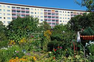 2-Raum-Wohnung nahe Zeisigwald – Bersarinstr. 42, 9130 Yorckgebiet, Chemnitz – Vorschaubild 2
