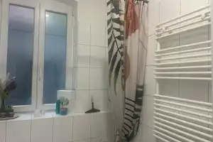 Schönes freistehendes Haus mit Charme im Herzen von Speyer in der Karmeliterstraße 29  – Karmeliterstraße 29, 67346 Speyer – Vorschaubild 24