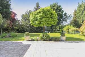 Top gepflegter Walmdachbungalow mit Garage und weitläufigem Garten in Top Lage von Rheda – Gütersloh (Kreis) – Vorschaubild 13