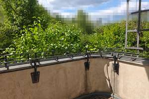 3-Zimmer-Altbauwohnung mit Balkon in Berlin-Niederschönhausen – Die vollständige Adresse der Immobilie erhältst du vom Anbieter., 13156 Niederschönhausen, Berlin – Vorschaubild 8