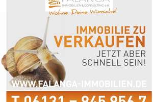 Falanga Immobilien - Attraktive Kapitalanlage oder Selbstnutzung, Top Wohnung mit Sonnenbalkon! – Die vollständige Adresse der Immobilie erhältst du vom Anbieter., 55120 Mombach, Mainz – Vorschaubild 10