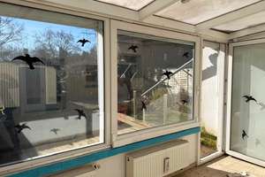 - Solides Wohnhaus mit SÜDLAGE-Garten - – Die vollständige Adresse der Immobilie erhältst du vom Anbieter., 41236 Heyden, Mönchengladbach – Vorschaubild 3