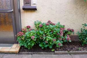 Doppelhaushälfte mit schönem Garten in begehrter Wohnlage von Freudenstadt. – Die vollständige Adresse der Immobilie erhältst du vom Anbieter., 72250 Freudenstadt – Vorschaubild 27