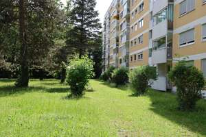 Modernisierte 2-Zimmer Wohnung in Fürstenried (U3) provisionsfrei! Sofort beziehbar – Engadiner Str. 30, 81475 Fürstenried-West, München – Vorschaubild 2
