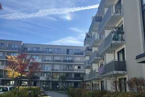 Gemütliches 1-Zimmer Appartment mit Terrasse und Küche – Blumenstr. 14a, 93055 Ostenviertel, Regensburg – Vorschaubild 12