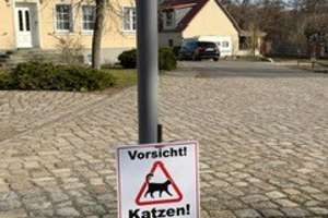 Property thumbnail 82