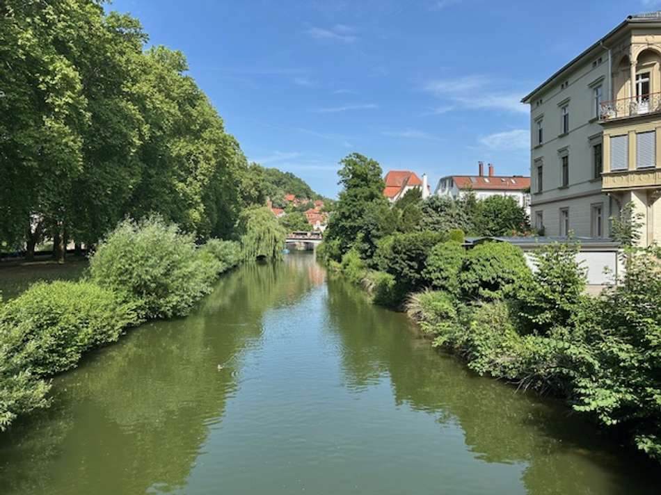 Neckar 1 - Kopie