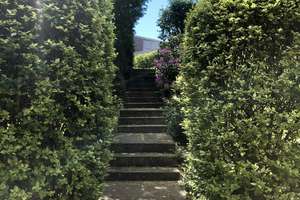 Property thumbnail 11