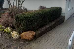 Gemütliches Wochenendhaus*Wochenendplatz Katharinenhof* – Die vollständige Adresse der Immobilie erhältst du vom Anbieter., 61250 Usingen – Vorschaubild 12