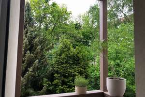 Schöne 3-Zimmer-Wohnung mit Balkon, Parkett & Gartenmitbenutzung in Leipzig-Möckern – Nernststraße 9a, 4159 Möckern, Leipzig – Vorschaubild 15