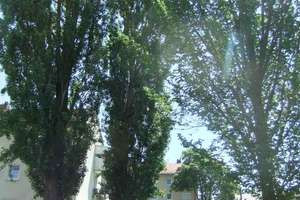 Schöne, absolut ruhige 3 1/2 Zimmer-Wohnung in Regensburg-Uninähe – Die vollständige Adresse der Immobilie erhältst du vom Anbieter., 93053 Kasernenviertel, Regensburg – Vorschaubild 4