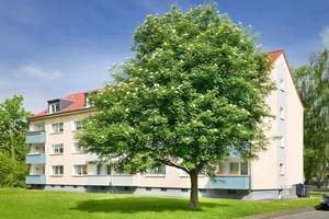 °°Gemütliches Wohnen im Grünen-Revierpark Wischlingen°°