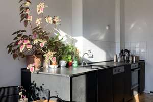 Property thumbnail 10