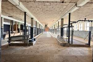 Verkauf eines gepflegten Resthofes mit Hausweide und Stallungen in Alleinlage ca. 7 km von Heide – Die vollständige Adresse der Immobilie erhältst du vom Anbieter., 25795 Weddingstedt – Vorschaubild 32