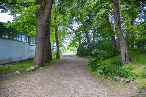 Idyllische Reitanlage mit Wohnhaus, Gästezimmern und Wirtschaftsgebäuden – Die vollständige Adresse der Immobilie erhältst du vom Anbieter., 27612 Loxstedt – Vorschaubild 25