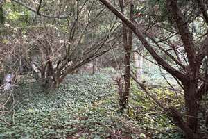 Property thumbnail 17