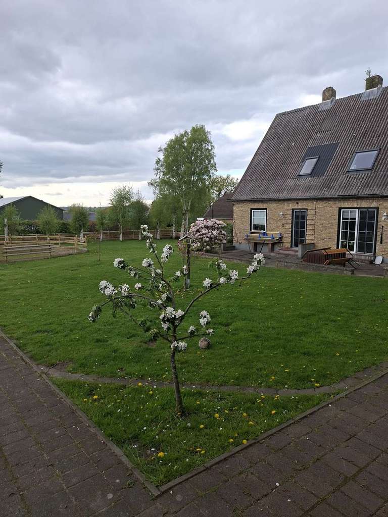 Immobilie in Wohlde - Teilsaniertes und modernisiertes Wohnhaus mit Stallungen, Reitplatz und Hauskoppel - Bild 0
