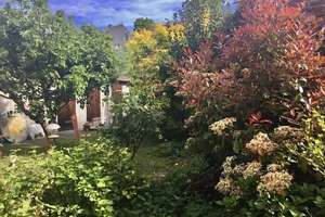 MFH in GE-Erle mit Garten, gute Lage nahe Schloss Berge – Die vollständige Adresse der Immobilie erhältst du vom Anbieter., 45891 Erle, Gelsenkirchen – Vorschaubild 3