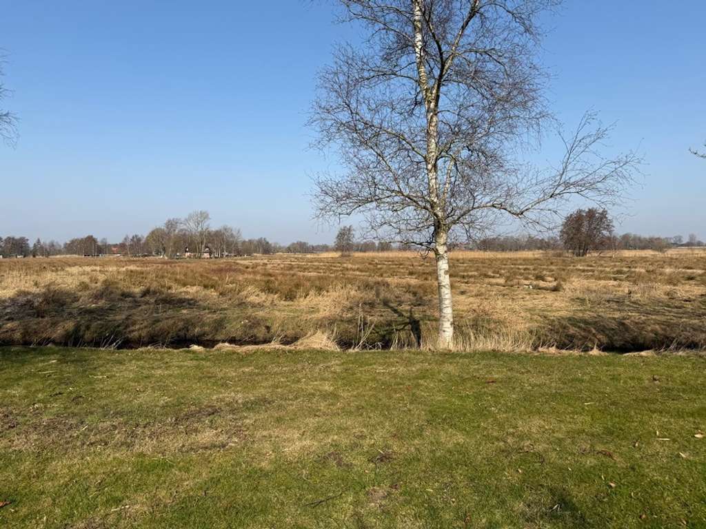 Immobilie in Nortorf - Weitblick garantiert! Reetdachanwesen mit 2 Wohneinheiten in herrlicher Alleinlage Nähe Wilster - Bild 2