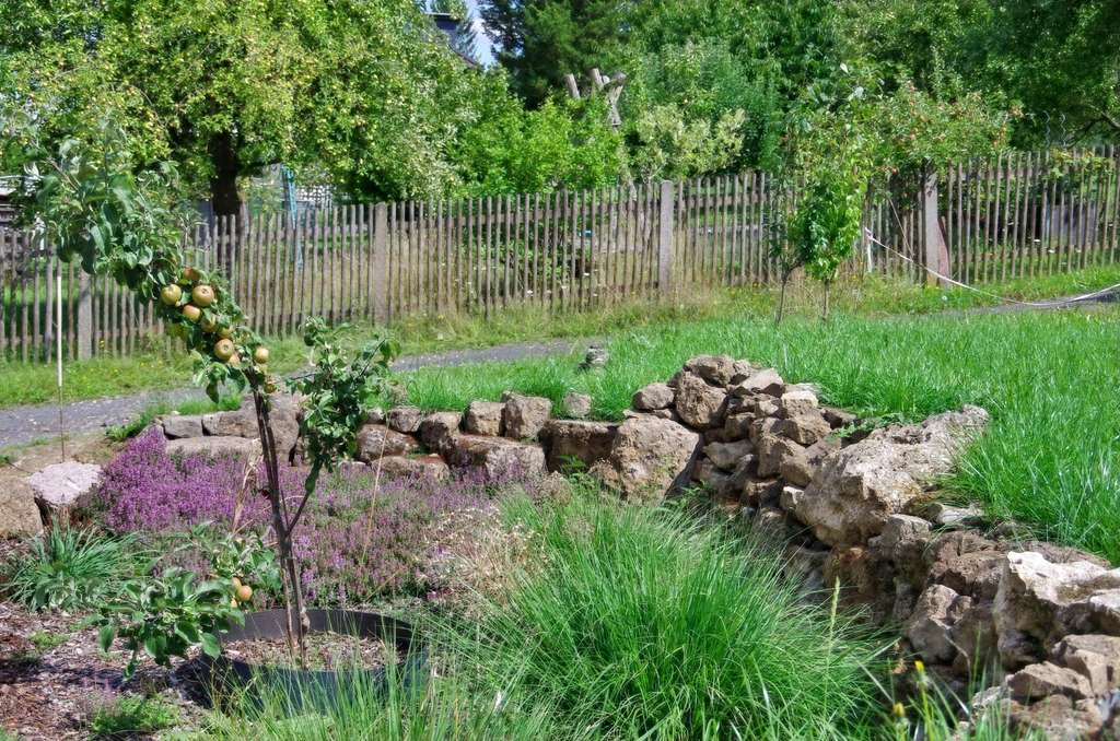 Immobilie in Saalfeld/Saale - Ihr Traumhaus in ruhiger, grüner Lage in Saalfeld – teilsaniert und bereit für Ihre persönliche - Bild 4