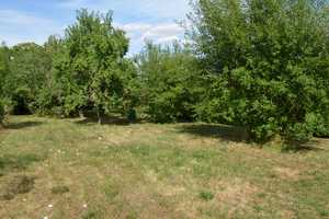 Charmantes Einfamilienhaus mit großem Garten, Wintergarten sowie Garage und Stellplatz, 120 qm – Kaiserslautern (Kreis) – Vorschaubild 35