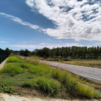 Camp d'oliveres, Hort, Figueres, Tros de Bosc, Bewässerung usw.