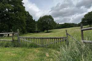 Naturidylle in Alleinlage, 4,7 ha – 55481 Kirchberg im Wald – Vorschaubild 19