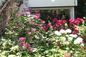 ++ Schöne Wohnung ++ Zentral und mit Blick in einen herrlichen Garten ++ – Elisabethstr. 140, 47799 Cracau, Krefeld – Vorschaubild 7