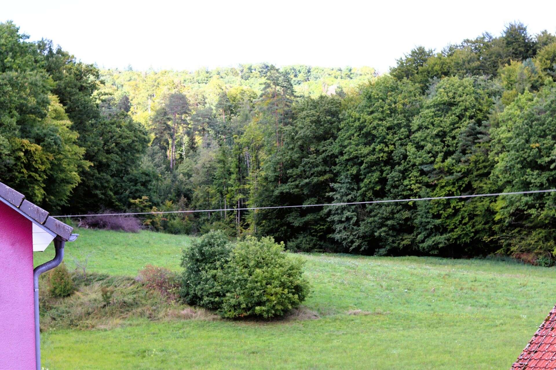 PREISREDUZIERUNG! Traum-Grundstücke! Resthof mit 2 x Handwerker-Haus bei Bamberg Ebern LK Haßberge, Haßberge Kreis – Bild 3