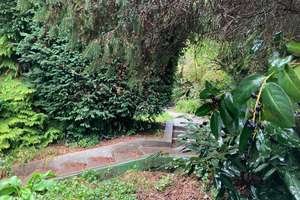 Villa für Individualisten und Feingeister mit 3,5 Zimmern in Steinen-Hägelberg – Rechbergstr. 18, 79585 Steinen – Vorschaubild 33