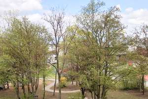 Sehr schöne, helle 2-Zimmer-Whg mit Balkon + EBK in Mutterstadt – 67112 Mutterstadt – Vorschaubild 10