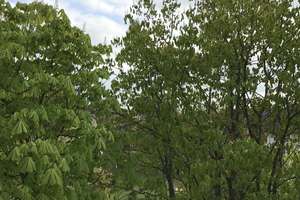 Property thumbnail 8