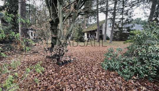 Bild von Sanierungsbedürftiges oder abbruchreifes EFH auf traumhaften (Bau)Grundstück in Waldrandlage!