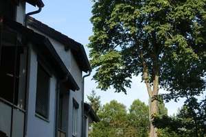 Viel Platz für den Alltag in diesem Reihenmittelhaus in Darmstadt – 64297 Eberstadt, Darmstadt – Vorschaubild 3
